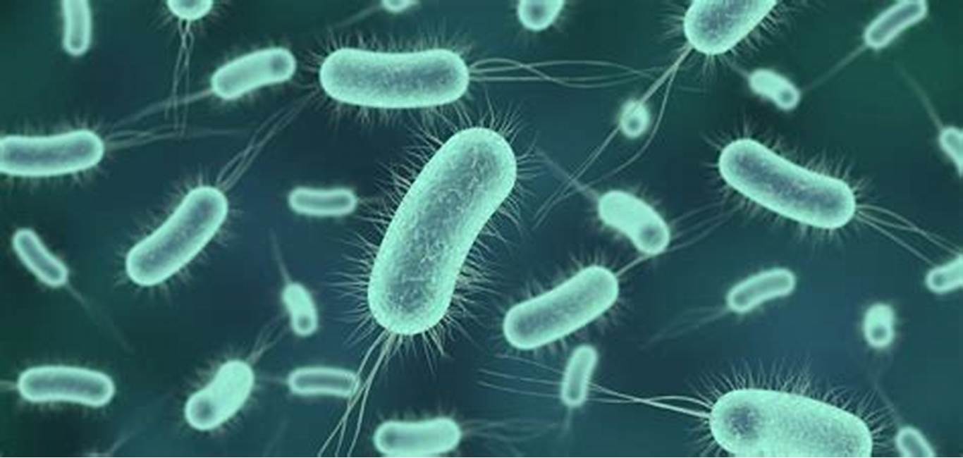 disinfettanti e igienizzanti